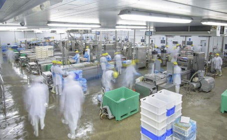 食品加工工人常用的勞保產品